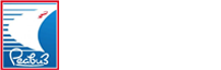 REAVIZ